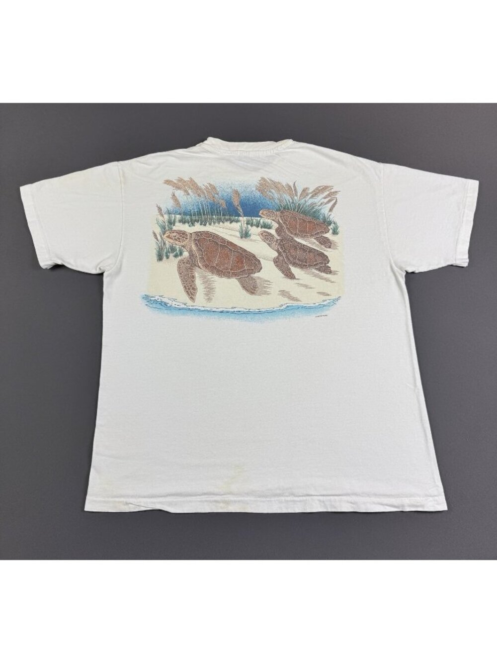 Rare Vintage 90s Hilton Head Sea Turtle Art Nature Beach Sea Hanes Beefy Large T